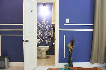 Casa Tianna Guest Apartments Kingston