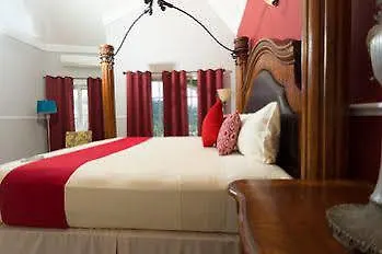 Casa Tianna Guest Apartments Kingston